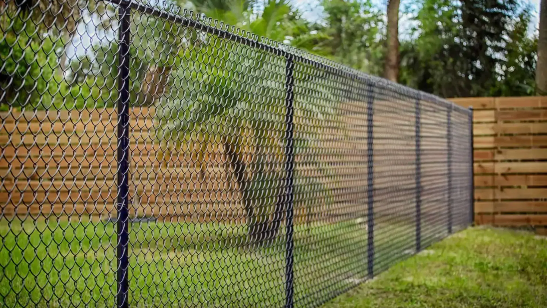 Chain Link Fences